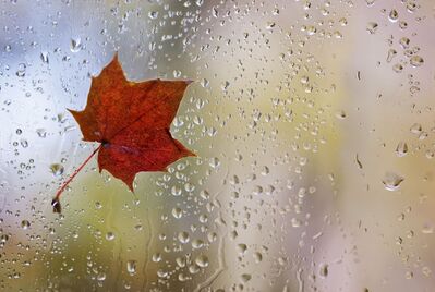 How to sell your home in autumn and winter weather